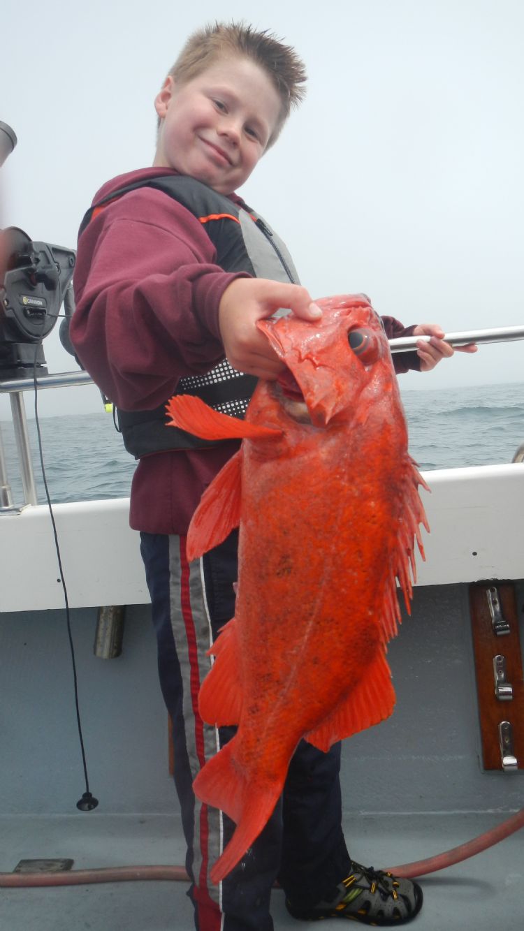 Reel Steel Sport Fishing, Eureka, Humboldt County, California